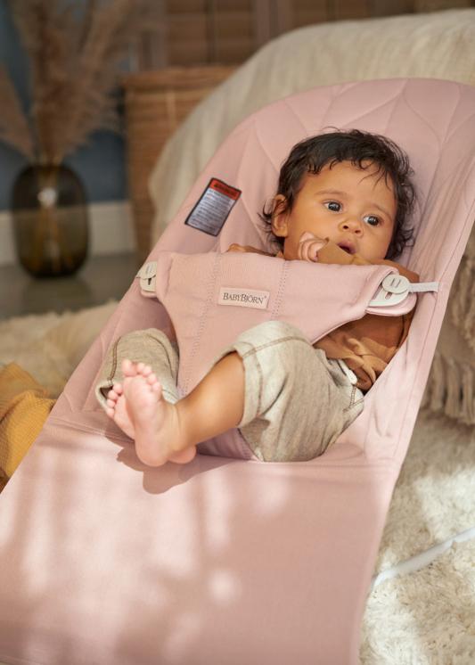 BabyBjörn baby bouncer